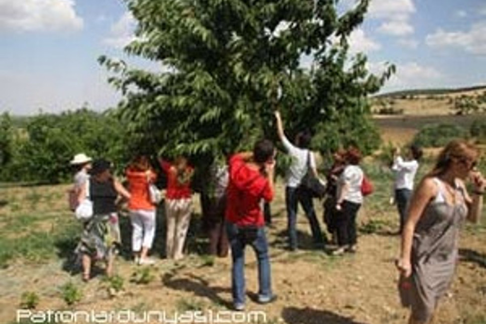 Almanlar, Anadolu'da meyve bahçesi arıyor