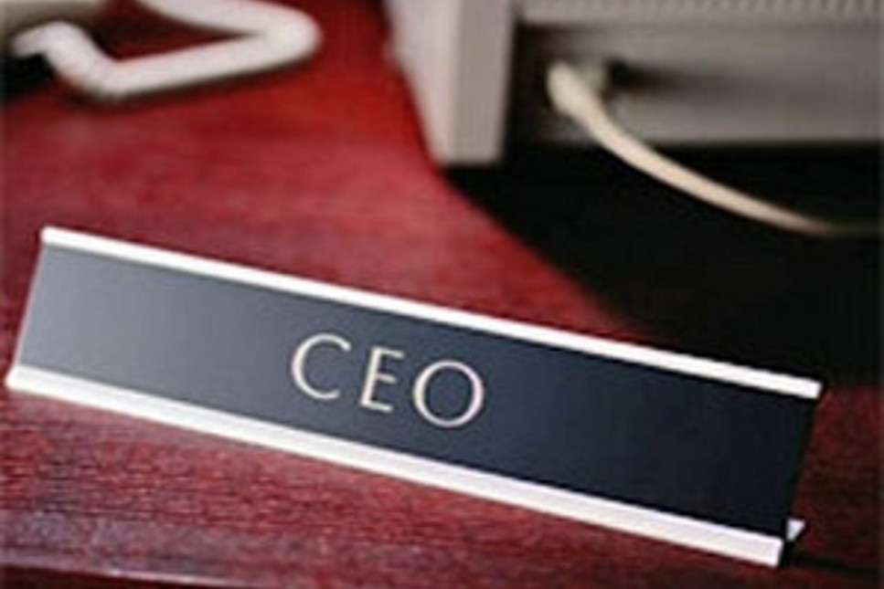 CEO'lar 2013 yılına nasıl bakıyor?