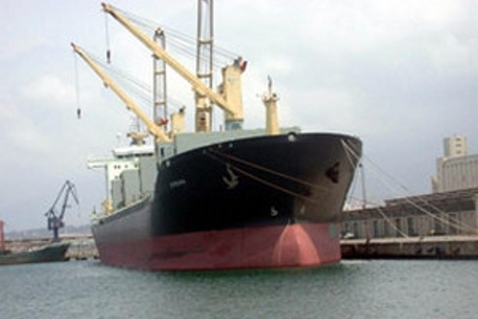 Avrupa limanda bekletiyor Türk gemileri 2.8 milyon dolar zarar yazıyor