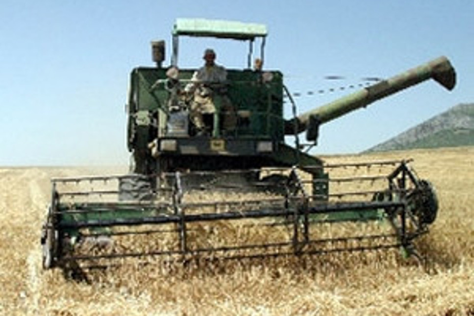 Buğdayda Rusya'dan sonra Çin alarmı