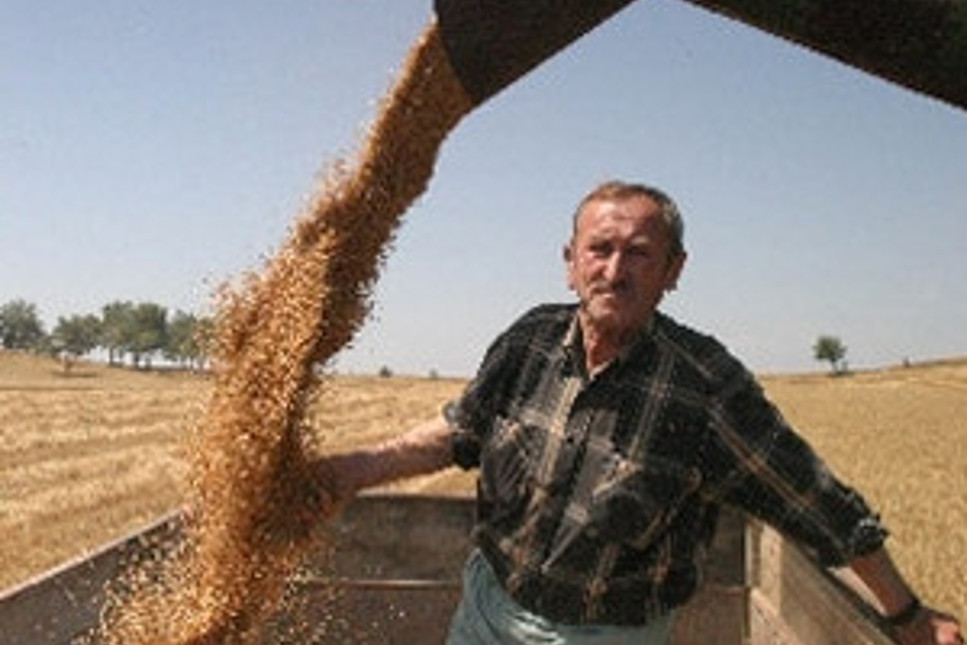 TMO'dan ihracatçılara arpa ve buğday 
