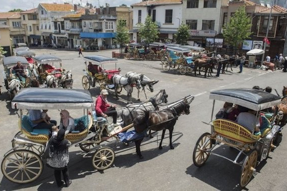 İstanbul Valisi, Adalar'daki atların durumunu değerlendirdi