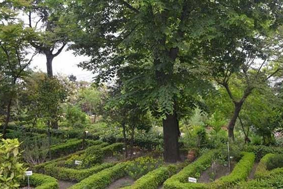 Atatürk’ün kurduğu botanik bahçesini Diyanet’e sessiz sedasız verdiler