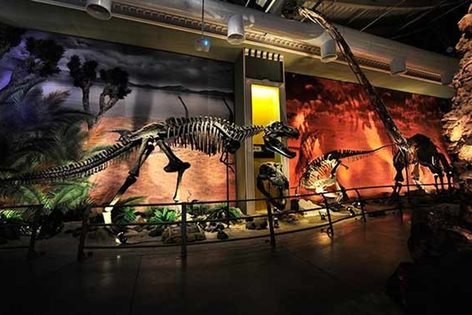 Avrupa’nın en büyük dinozor parkı için iflas davası açıldı