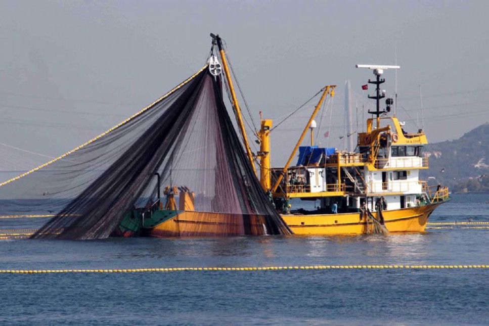 Balıkçılığın sorunlarıyla ilgili araştırma komisyonu kurulacak