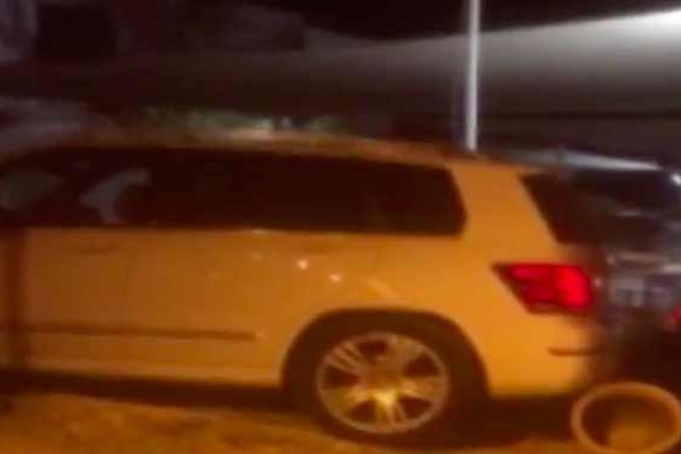 Bodrum'da kadın sürücü 'Lüks ciple saksı hırsızlığı' yaparken yakalandı