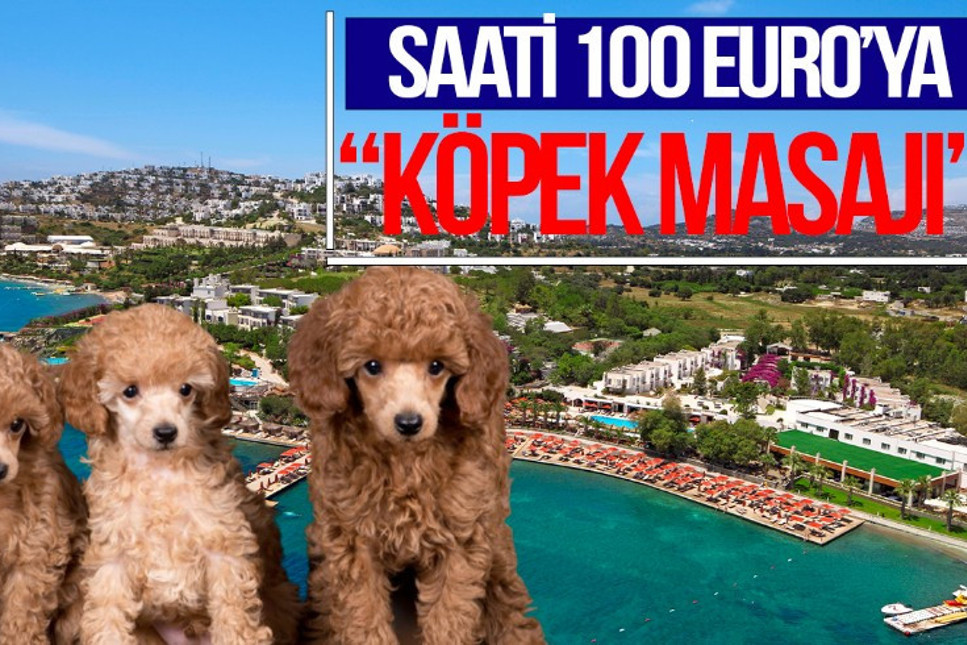 Bodrum’daki otelde köpeklere SPA