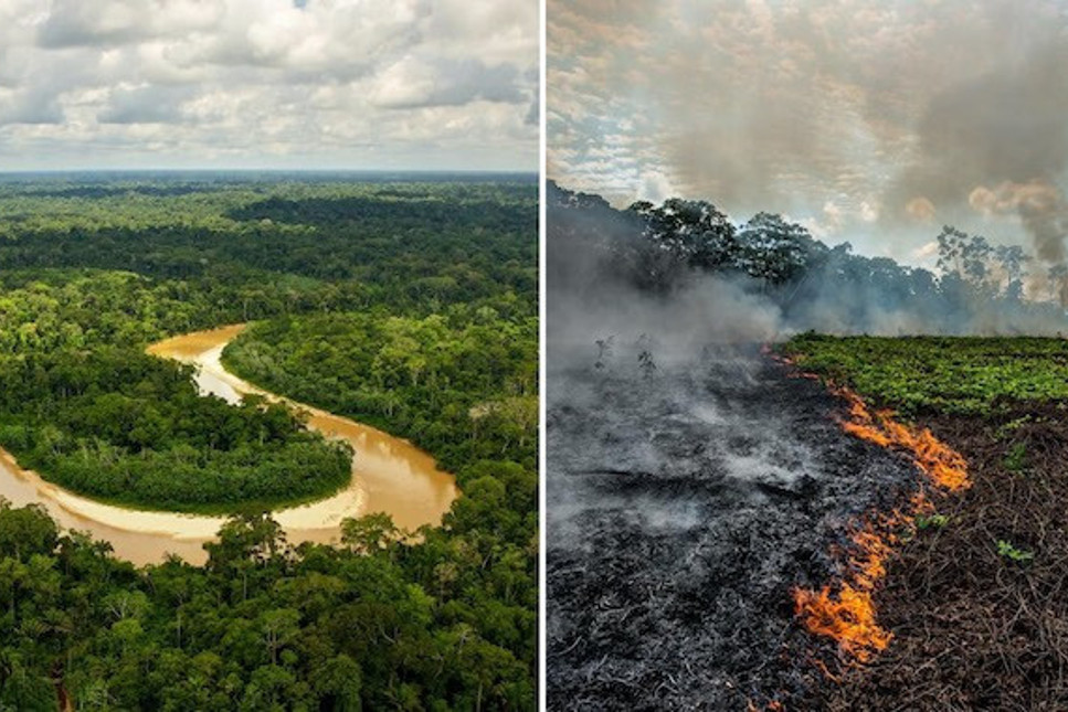 Bolsonaro, Di Caprio'yu Amazon'da yangınlara maddi teşvik sağlamakla suçladı