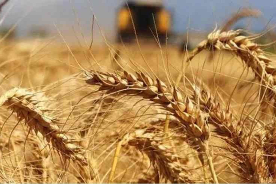 Cumhurbaşkanı Erdoğan, merakla beklenen buğday ve arpa alım fiyatlarını açıkladı