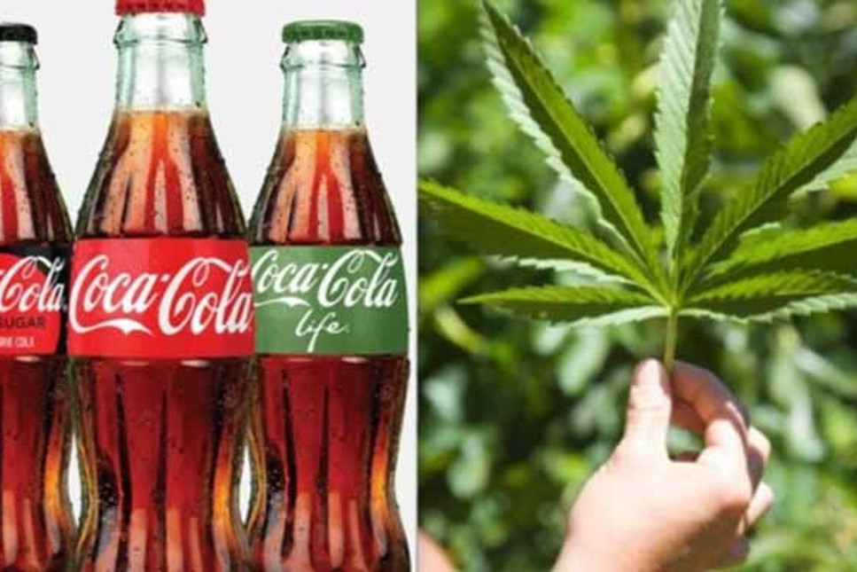 Coca Cola esrar hammaddesi ile içeçek üretiyor!