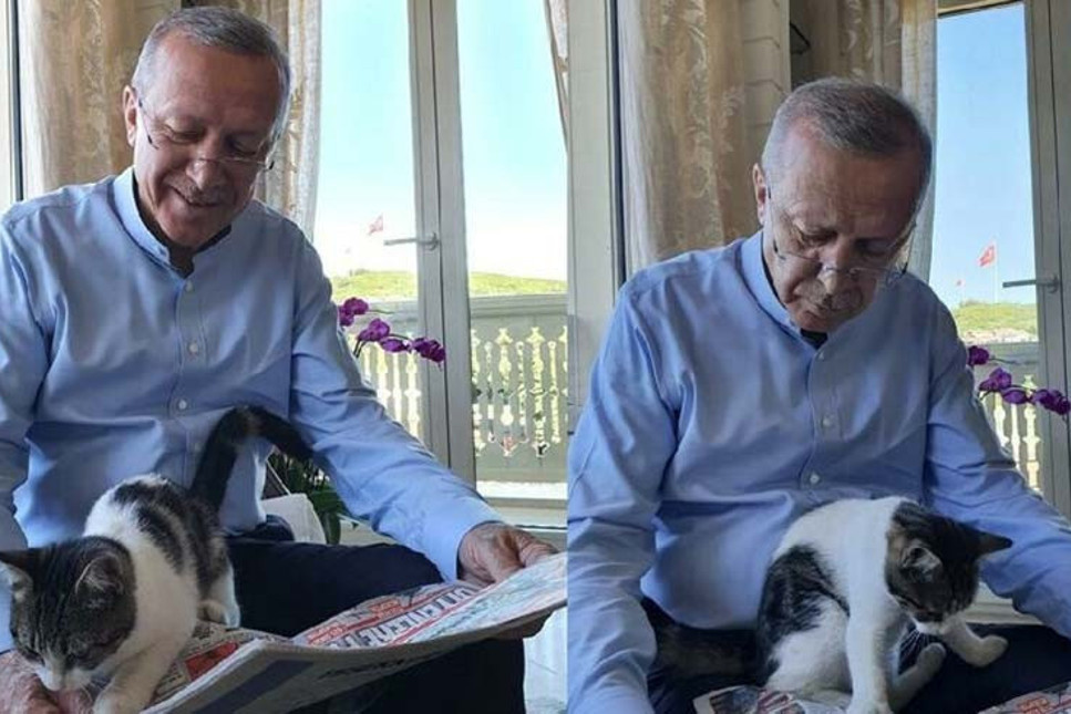 Cumhurbaşkanı Erdoğan hangi gazete okuyor?