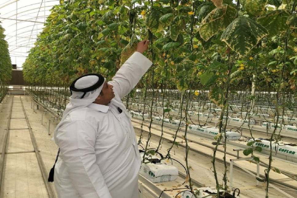 Cumhurbaşkanlığı Yatırım Ofisi ve Türkiye'nin Doha Büyükelçiliği Ticaret Müsavirliği tarafından Türkiye'de tarım alanında yatırım imkanları tanıtıldı