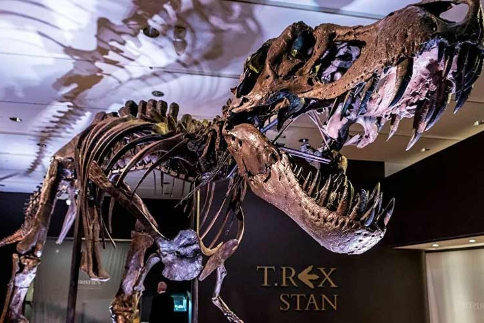 Dinozor iskeleti 32 milyon dolara satıldı