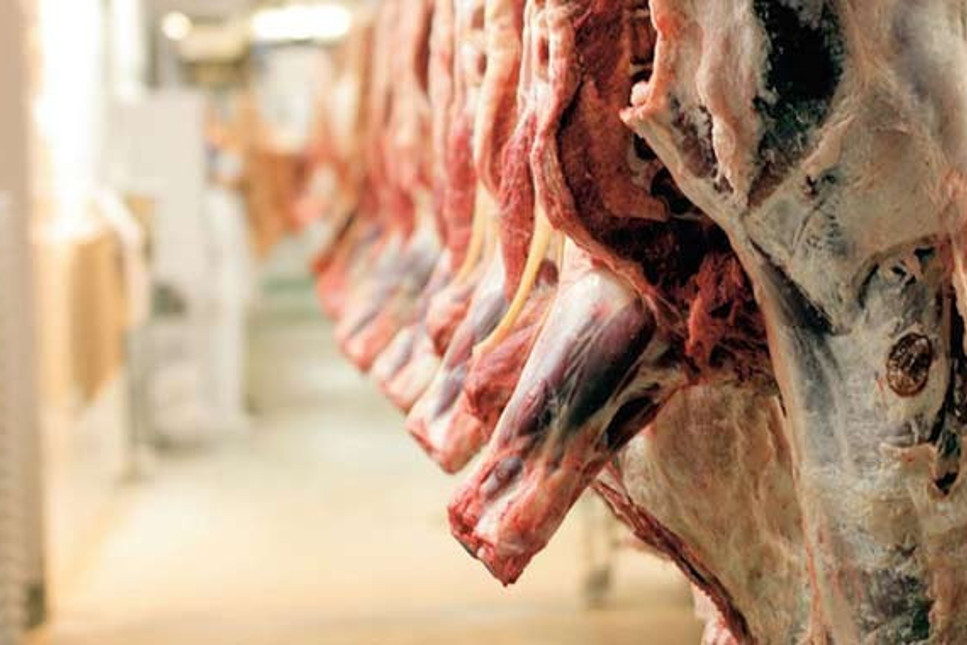 İhtiyaçtan fazla alınmış: Depolarda biriken 20 bin ton ithal et Arap ülkelerine satılacak