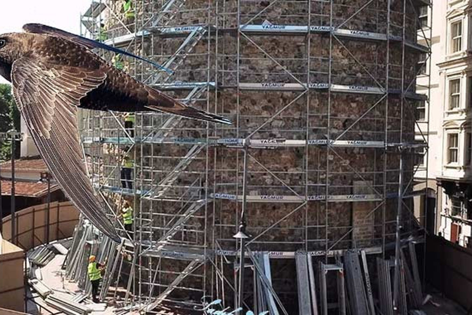 Galata Kulesi'ndeki restorasyona 'ebabil kuşları' nedeniyle ara verildi