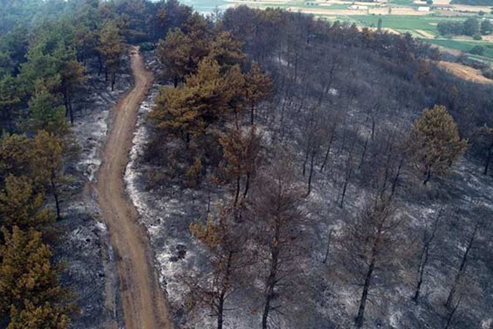 Gelibolu'daki yangın kontrol altına alındı; 450 hektar alan kül oldu