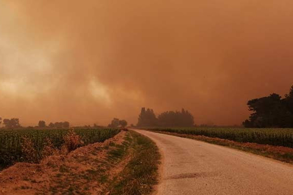 Gelibolu yanıyor! Bakan Pakdemirli: 300 hektara yakın alanı kaybettik