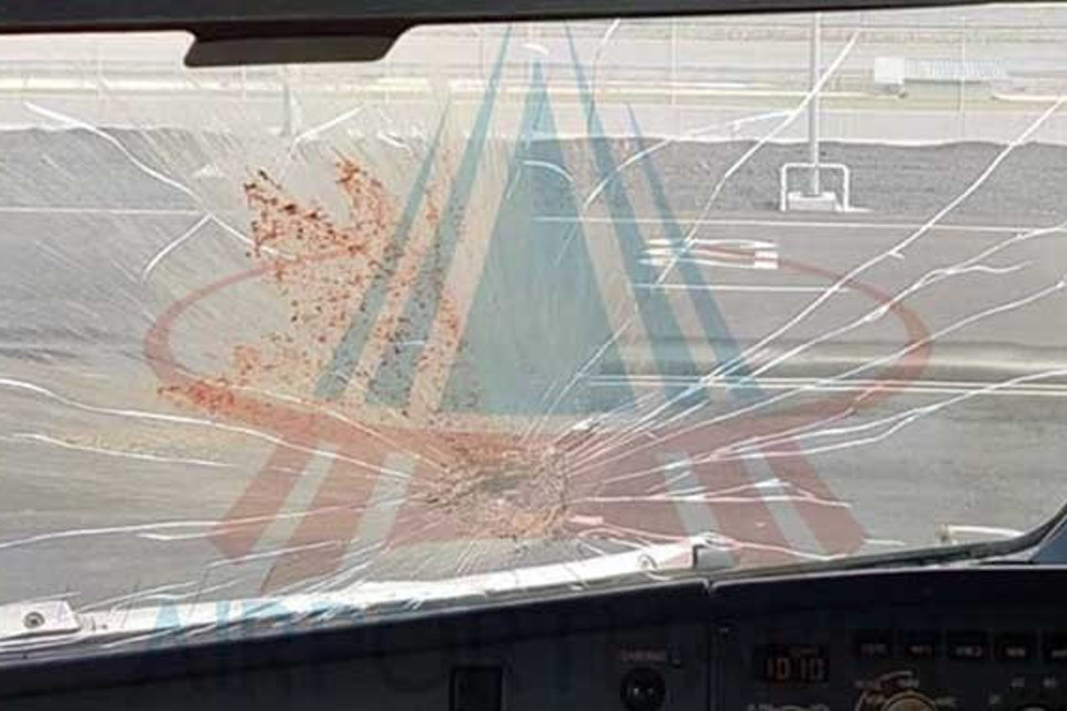 İstanbul-Antalya seferinde uçak, kuş sürüsüne çarpınca geri iniş yaptı