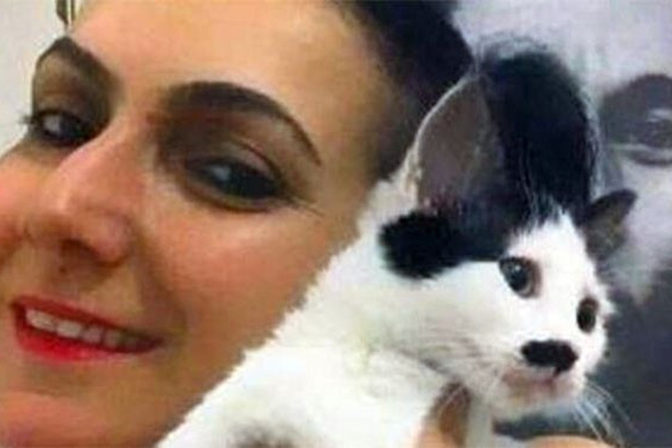 İstanbul'da 42 yaşındaki kadını evde beslediği kedi ve köpekler yedi