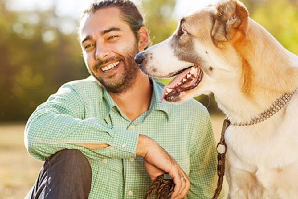 İsviçreli bilim insanları: Köpekler sakallı erkeklerden daha temiz
