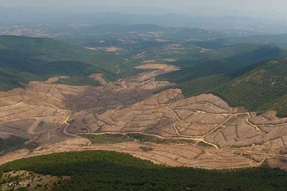 Kaz Dağları’nda ağaç katliamı yapan maden şirketine 865 milyon Lira teşvik verilmiş