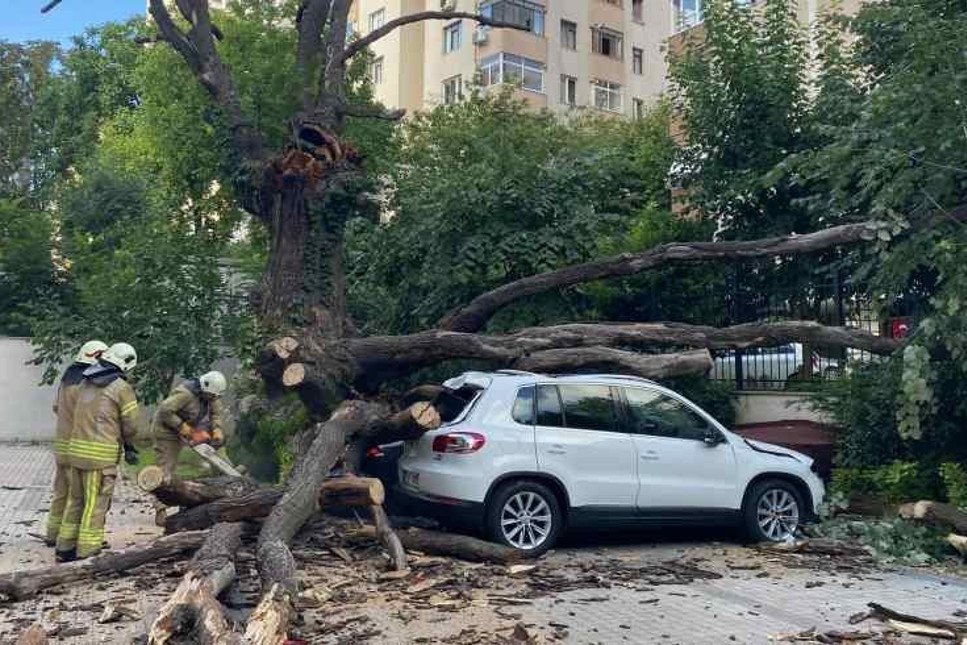 Lüks araçlar pert oldu! Kadıköy'de 150 yıllık ağaç 6 aracın üstüne devrildi
