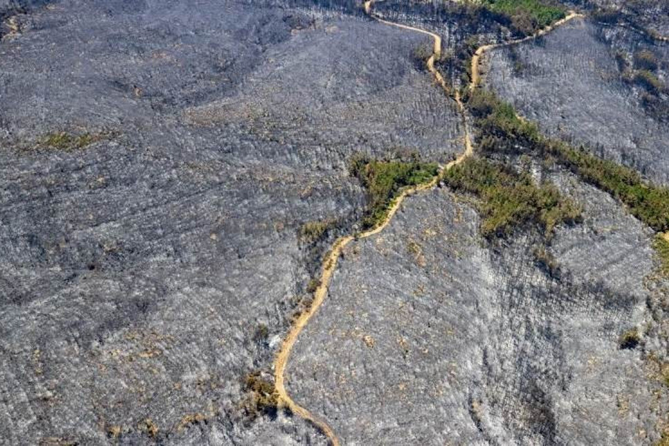 Marmaris’teki orman yangınında 4. gün: 4813 futbol sahası büyüklüğünde alan yandı!