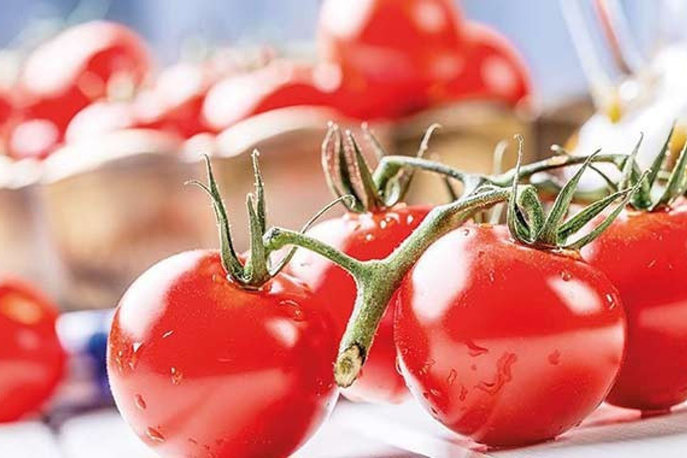 Batı Akdeniz 4 ayda 62 milyon dolarlık domates ihraç etti