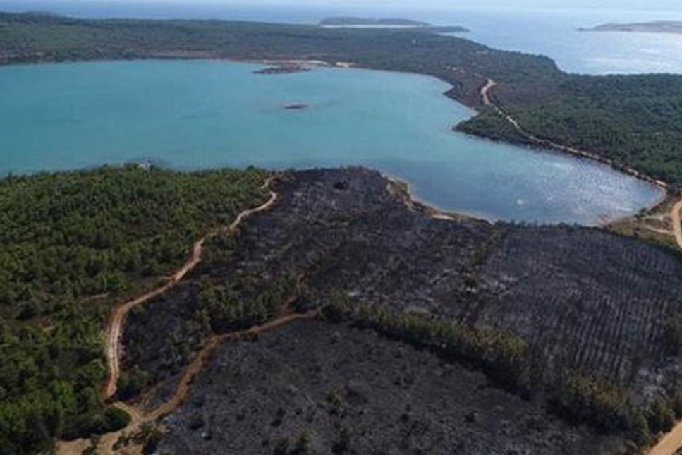 Bakan Eroğlu'dan Ayvalık'ta yanan ormanla ilgili flaş açıklama