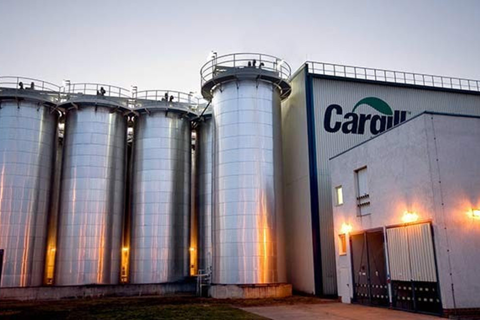 Cargill raporu ve gerçekler
