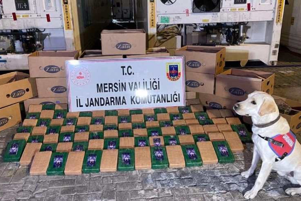 Soylu: Mersin Limanı'nda 258 kilogram kokain yakalandı