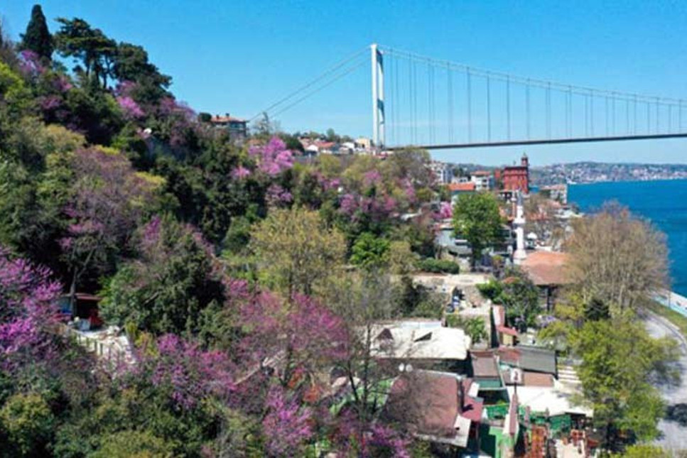 Tam yüzde 290 artış! İşte İstanbul'da kiraların uçtuğu semt