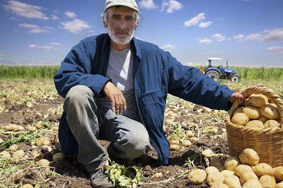Gıdada kriz yaklaşıyor: Çiftçiye destek önerileri