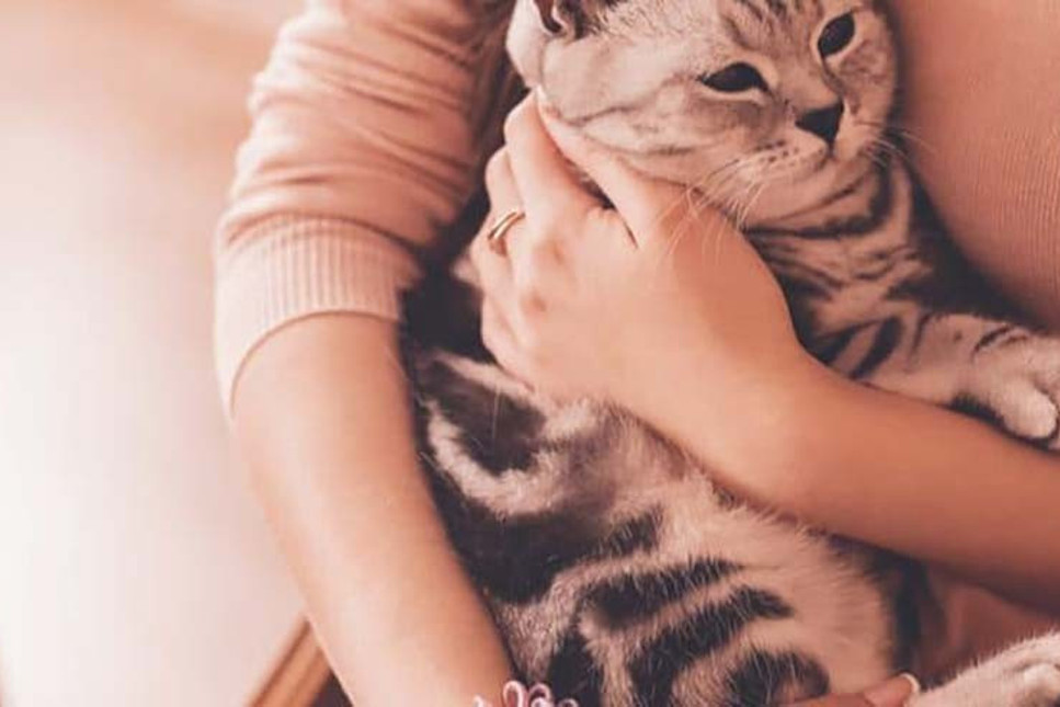Tepki çeken tavsiye: Isınmak için kedinize sarılın
