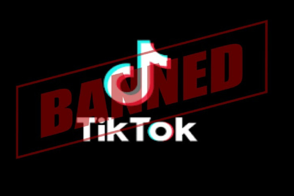 TikTok'a bir yasak da Hollanda'dan