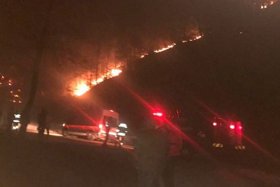 Trabzon ile Giresun’da orman yangınları yeniden başladı