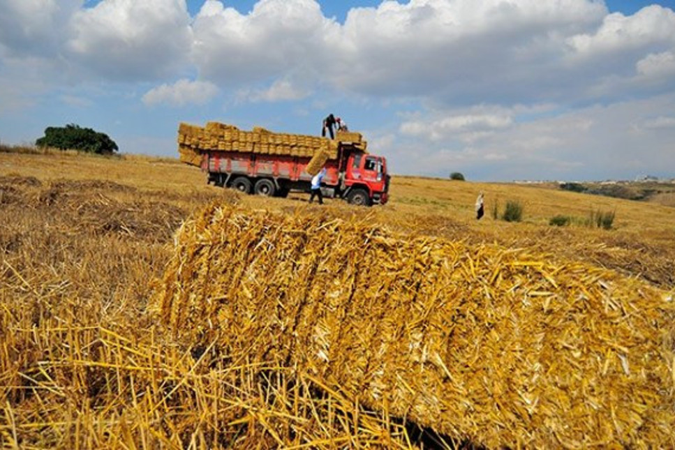Türkiye beş yıl sonra saman ithal ediyor
