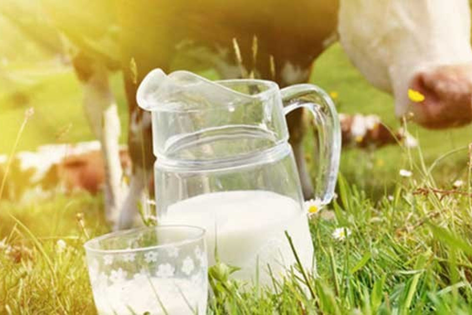 Kriz sütü de kesti: Üretimde yüzde 10 düşüş