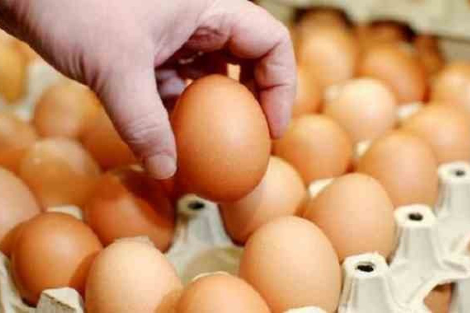Yumurtanın fiyatı bir yılda 2 katına çıktı