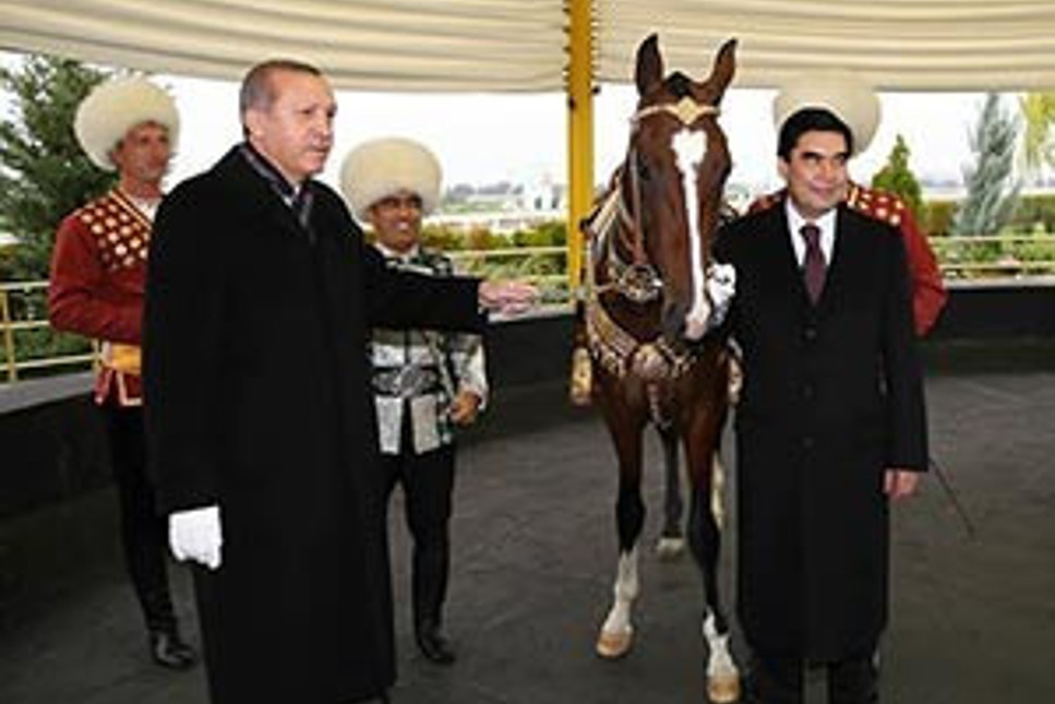 Cumhurbaşkanı Erdoğan'ın atları için At Saray yapılıyor
