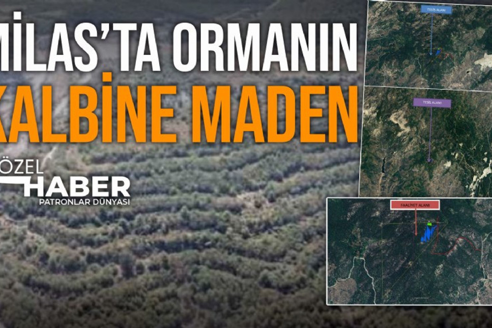 Milas’ta ormanın ortasında 58 bin hektarlık alana Feldsapat maden ocağı açmak için ÇED süreci başladı