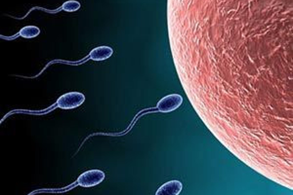 Mal varlığı tartışması: Sperm!