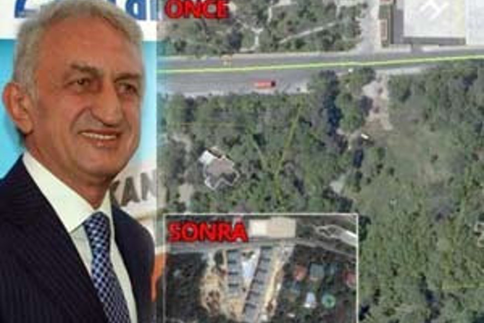 Erdoğan'ın okul arkadaşından Üsküdar'da ağaç katliamı