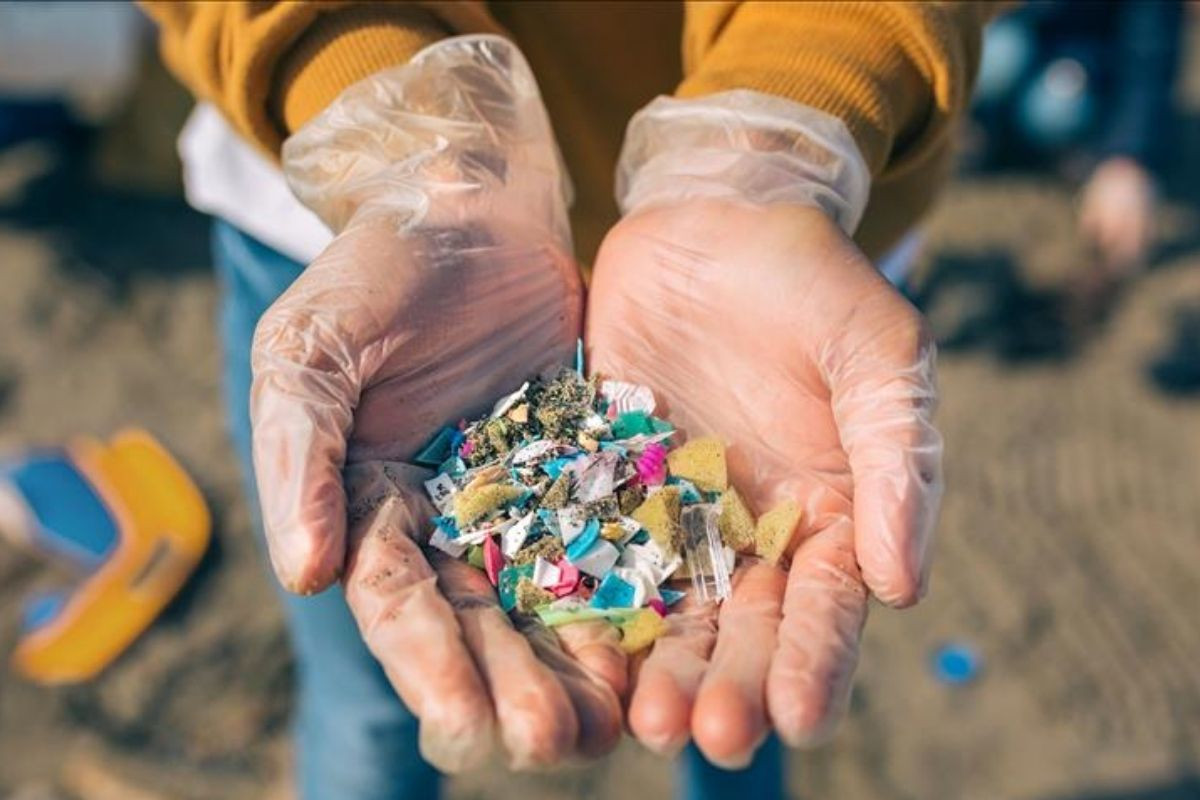 Mikroplastiklerin kanser ve üreme rahatsızlıklarına neden olduğu saptandı